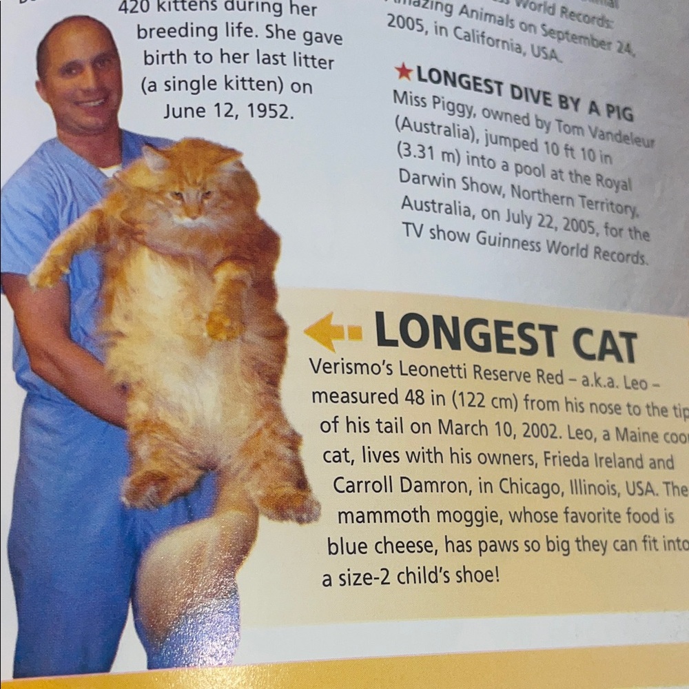 Guinness World Records 2007 Book Used - Picture 15 of 16